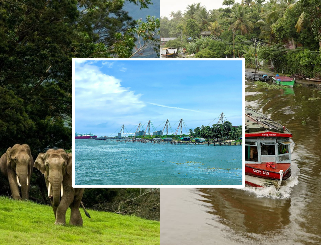 Cochin - Munnar - Thekkady - Alleppey